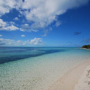 Le Isole Vergini Britanniche e Tortola