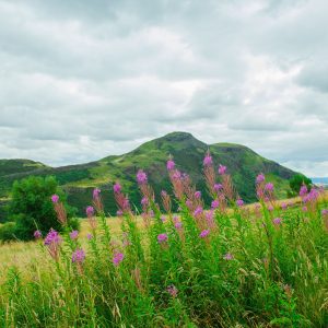 Edimburgo, visitare la città e scoprirne le bellezze e le principali attrazioni