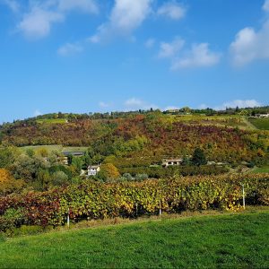 Il Monferrato, itinerario tra le eccellenze della zona patrimonio UNESCO