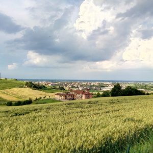 Il Monferrato, itinerario tra le eccellenze della zona patrimonio UNESCO