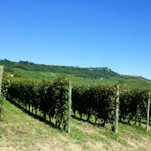 La strada del Barolo, itinerario tra castelli e panorami