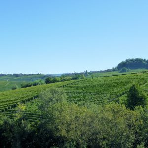 La strada del Barolo, itinerario tra castelli e panorami