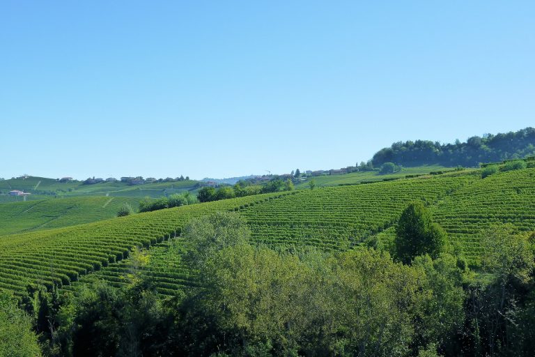 barolo-langhe