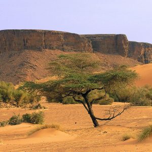 Natale in Mauritania: esplorare l’Occhio del Sahara e giungere fino alla Costa Atlantica in fuoristrada