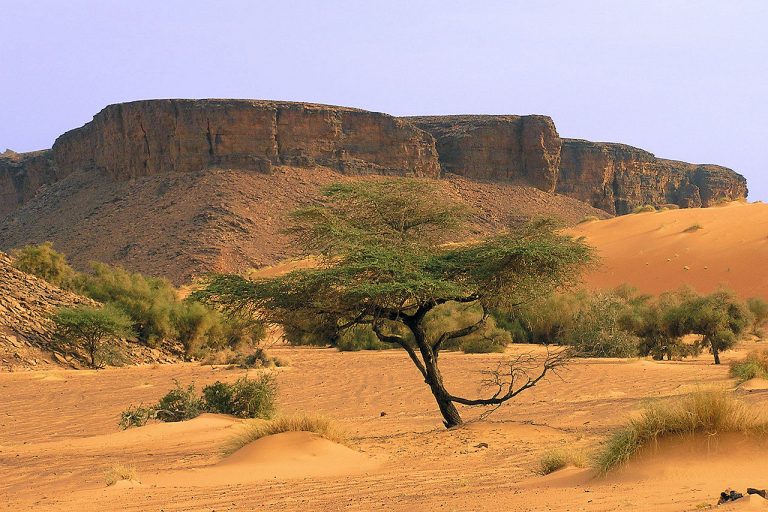 mauritania