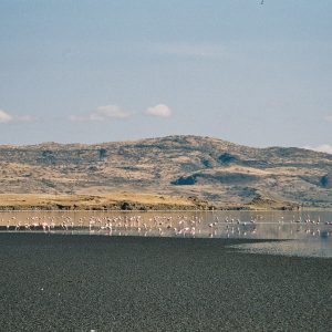 Viaggio in Africa alla scoperta del Lago Natron che dà la vita e che la toglie