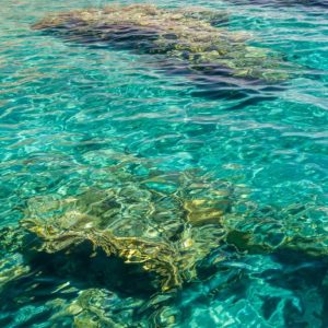 Berenice, per vivere il Mar Rosso incontaminato e solitario