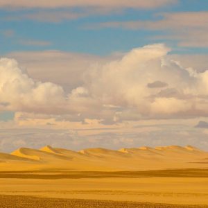 Natale in Mauritania: esplorare l’Occhio del Sahara e giungere fino alla Costa Atlantica in fuoristrada