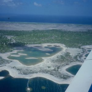 I granchi rossi: gli abitanti misteriosi dell’Isola di Natale