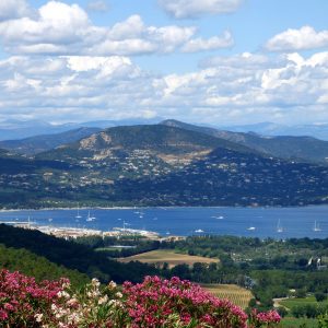 Provenza Bike Tour, un itinerario pedalando attraverso la natura e le eccellenze di questa regione francese