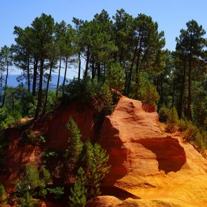 Provenza Bike Tour, un itinerario pedalando attraverso la natura e le eccellenze di questa regione francese