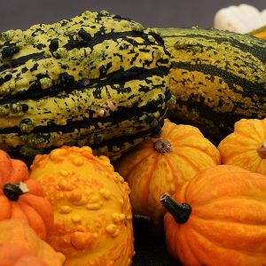 Menù di Halloween: gustose ricette a base di zucca