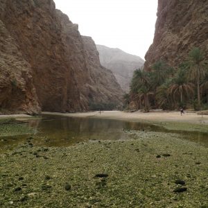 Viaggio fotografico in Oman, l’oriente magico