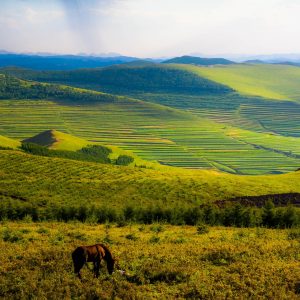 I mistici terrazzamenti della Cina meridionale