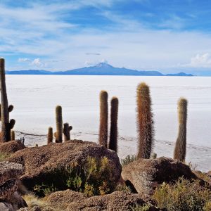 Il deserto bianco della Bolivia