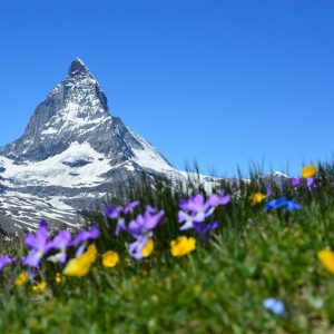 Zermatt, l’eccellenza Svizzera della neve, sciare d’inverno… e anche d’estate