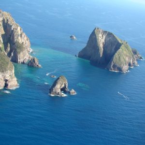 Isola di Palmarola, oasi naturale per chi ama immersioni e vela