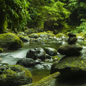 Isole Azzorre, un paradiso vulcanico per gli amanti della natura e della tranquillità