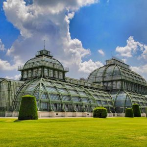 Vienna, la città del Danubio Patrimonio UNESCO