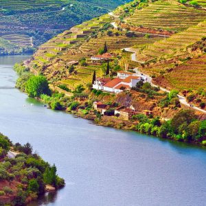 Scoprire il Portogallo: la Valle del Duero, un angolo patrimonio dell’umanità