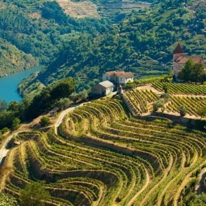 Scoprire il Portogallo: la Valle del Duero, un angolo patrimonio dell’umanità