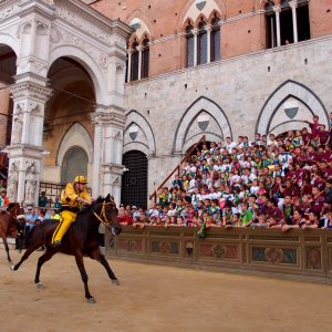 Siena, la città del palio e custode di un grandissimo patrimonio storico