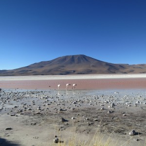 Viaggio in Cile e Bolivia, tra montagne, lagune e salar