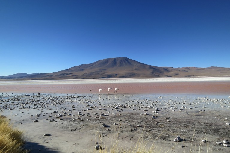 viaggio cile bolivia