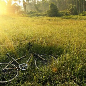 Treno e bici, per un’ estate all’insegna del green