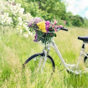 Treno e bici, per un’ estate all’insegna del green