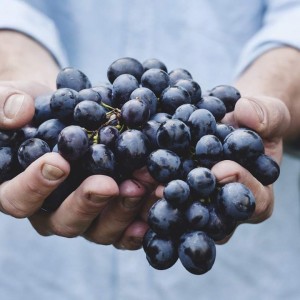 Cibus 2016, il Salone Internazionale dell’Alimentazione