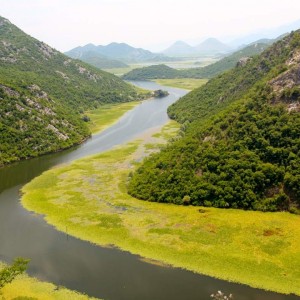 Il Montenegro, dalla “riviera” alla foresta