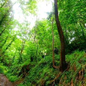 Il Vesuvio dei Borboni e dei briganti, itinerario naturalistico