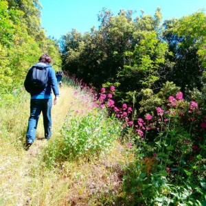 Il Vesuvio dei Borboni e dei briganti, itinerario naturalistico