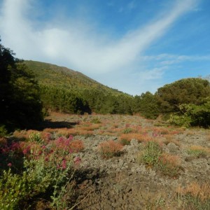 Il Vesuvio dei Borboni e dei briganti, itinerario naturalistico