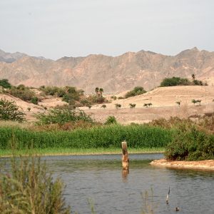 Eilat: un viaggio in Israele, fra mare, deserto e migrazioni di uccelli