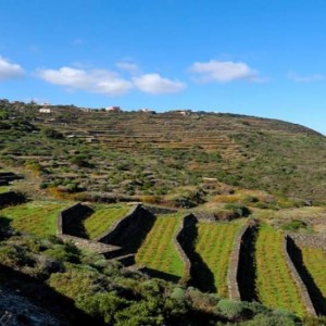 L’isola di Pantelleria, una vancanza nel Mediterraneo