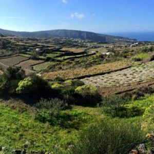 L’isola di Pantelleria, una vancanza nel Mediterraneo