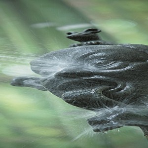 Lago di Garda, tutta la natura del mondo in un giardino