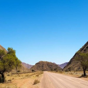 Scoprire la Namibia, dal parco Etosha al deserto del Kalahari