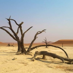 Scoprire la Namibia, dal parco Etosha al deserto del Kalahari