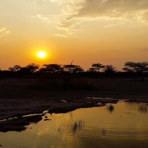 Scoprire la Namibia, dal parco Etosha al deserto del Kalahari