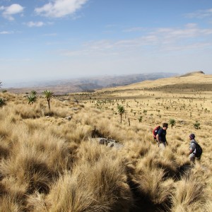 Tour in Etiopia, alla ricerca dei paesaggi primordiali