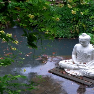 Lago di Garda, tutta la natura del mondo in un giardino