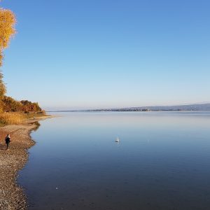 Itinerario al Lago di Costanza, le 4 cose da non perdere