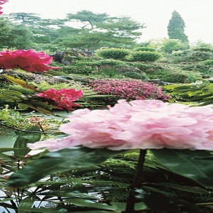 Lago di Garda, tutta la natura del mondo in un giardino