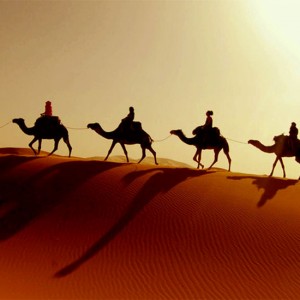 7. Safari nel deserto