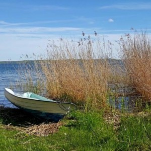 Stoccolma, itinerari tra arte e natura