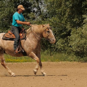 Colorado: otto itinerari a cavallo sulle tracce dei primi esploratori spagnoli