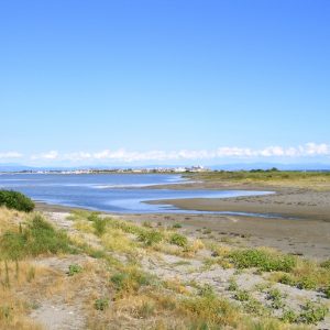 La Laguna di Marano ed i suoi casoni: una riserva naturale da visitare